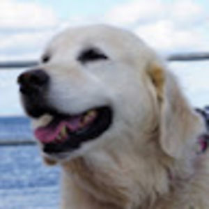 Meet your Posher, Liana